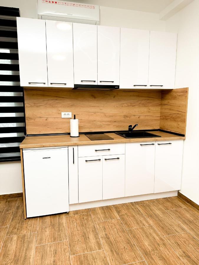 Kiko Apartmani Lux 兹雷尼亚宁 外观 照片